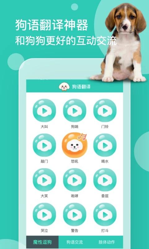 狗语翻译app v1.3.1安卓版-第1张图片-快下软件园