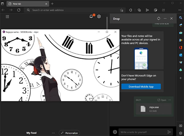 Edge Canary金丝雀版 v139.0.3374.0安卓版-第4张图片-快下软件园