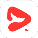 锦书在线app